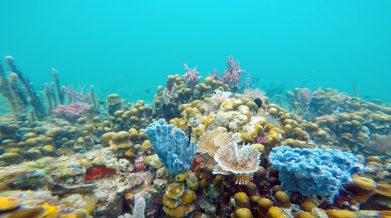 Azul Paradise Bastimentos Εξωτερικό φωτογραφία
